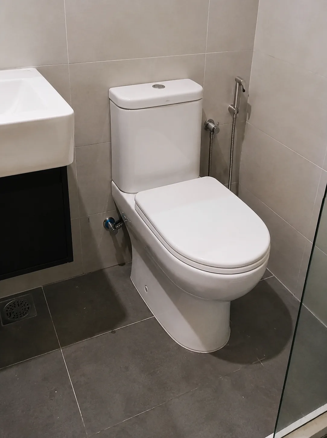 Toilet seat replacement and cistern check by RumahPro Petaling Jaya